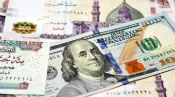 تحركات مفاجئة.. سعر الدولار أمام الجنيه المصري في تعاملات الإثنين بالبنوك المحلية